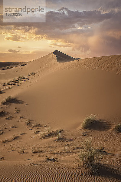 Linien und Dünen in der Wüste Sahara