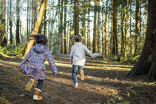 Rückansicht eines Jungen und eines Mädchens  die durch den Wald laufen.