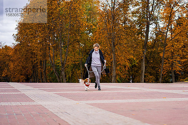 Frau rennt im Park mit einem Hund von Cavalier King Charles Spaniel