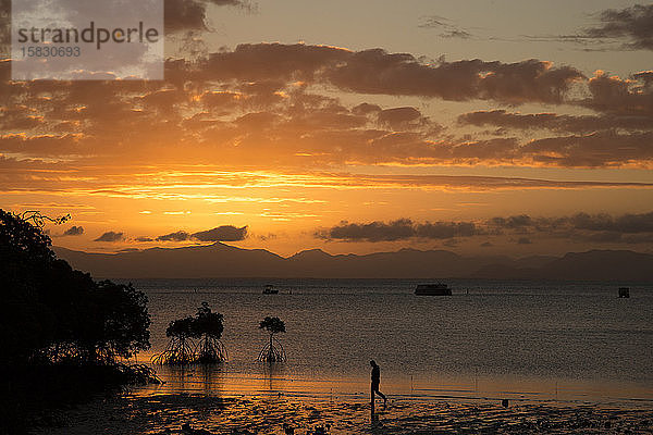 Personensilhouette & Mangroven am Sandstrand während eines goldenen Sonnenuntergangs