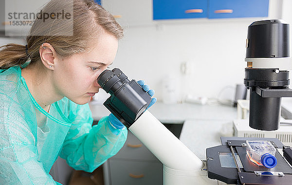 Junge Frau untersucht unter dem Mikroskop das Verhalten von Viren