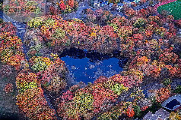 Luftaufnahme eines herzförmigen Teiches  der von bunten Herbstbäumen umgeben ist.