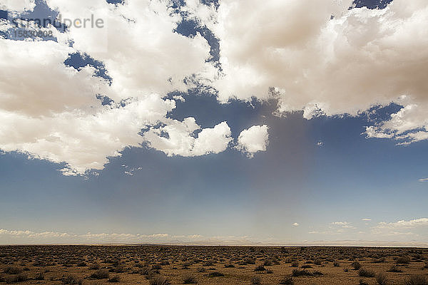 Ein Staubsturm in der Mojave-Wüste in Kalifornien  USA.