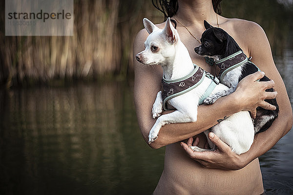 Nahaufnahme einer starken Frau  die zwei winzige Hunde in einem natürlichen Sommersee hält