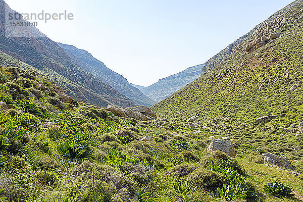 Wadi-Dschihar-Schlucht  El-Kanub-Naturschutzgebiet bei Arab ar Rashaydah  Westjordanland  Palästina