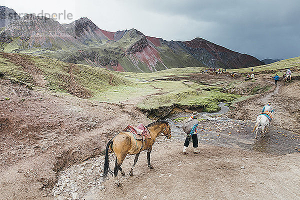 Einheimische Führer mit Pferden gehen ins Tal  Peru