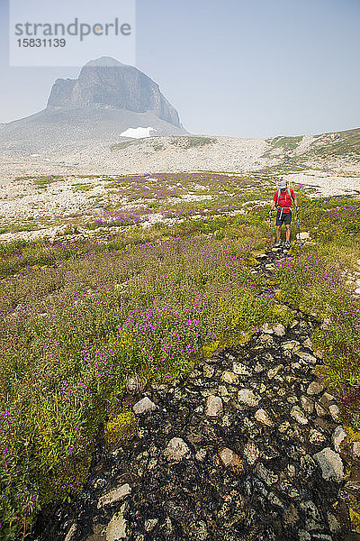 Wandern durch alpine Wiesen und Blumen.