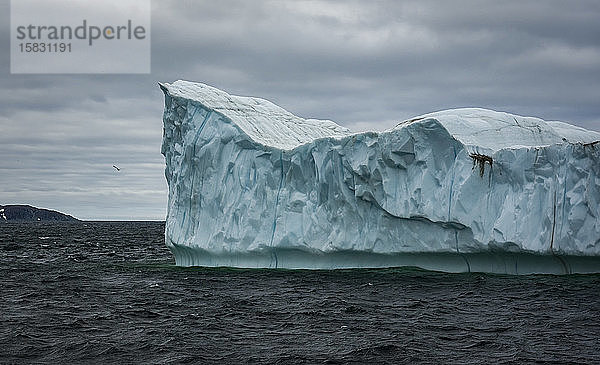 Großer Eisberg vor der Küste von St. Antonius  Neufundland