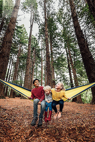 Drei Geschwister in einer Hängematte im neuseeländischen Wald