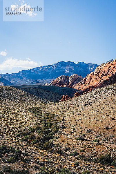 Panoramablick auf den Red Rocks State Park  Nevada  Nordamerika
