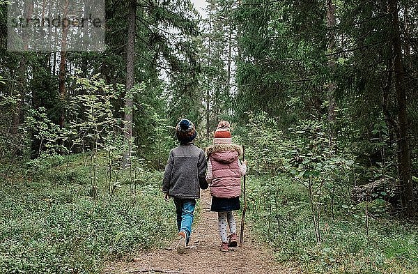Bruder und Schwester halten sich im Herbst beim Waldspaziergang an den Händen