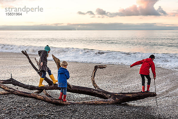 Drei Geschwister klettern am Strand auf Treibholz