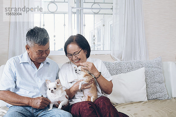 Asiatisches älteres Ehepaar  das die Hunde auf der Couch im Mietshaus hält