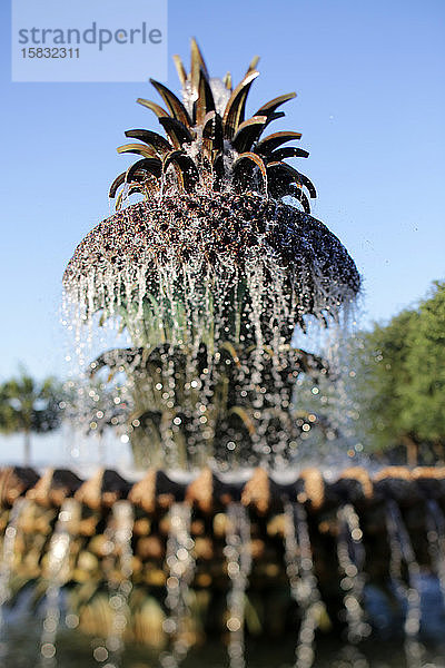 Ananas-Brunnen in Charleston  South Carolina