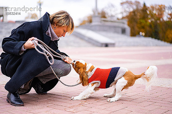 Frau spielt mit einem Cavalier King Charles Spaniel Hund im Freien.