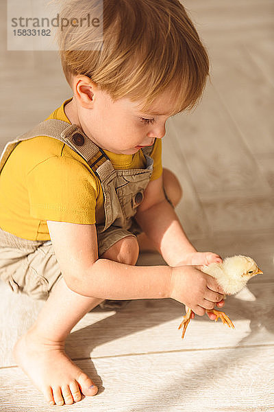 Junge spielt zu Ostern mit Enten