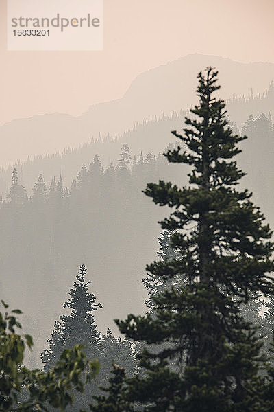 Waldschichten am Berghang  die durch nahe gelegenen Waldbrand verraucht wurden