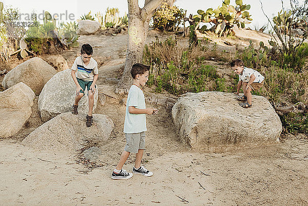 Drei junge Brüder tanzen im sonnigen kalifornischen Kaktusgarten