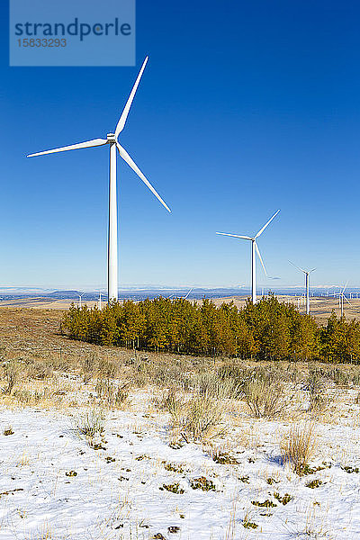 Windturbinen im Feld gegen blauen Himmel