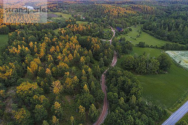 Luftaufnahme einer Straße und eines Waldes bei Sonnenuntergang im Sommer in Kalmar