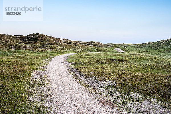 Wanderweg durch die Dünen  Julianadorp  Niederlande