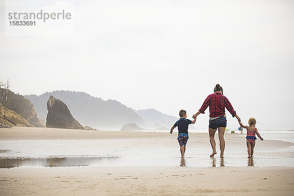 Rückansicht einer Mutter  die mit ihren zwei kleinen Kindern am Strand spazieren geht.