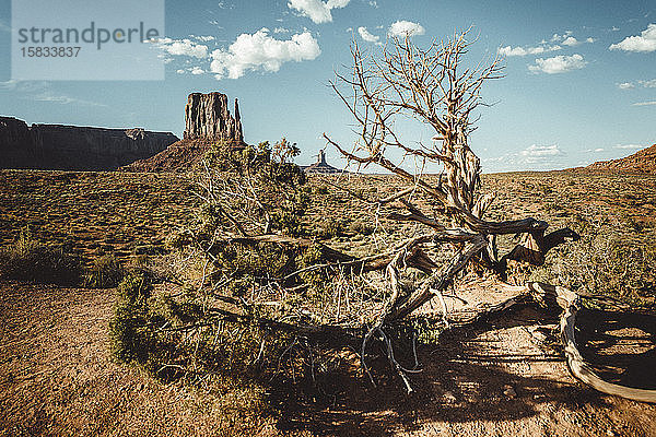 Denkmal Talumgebung  Navajo-Stausee.