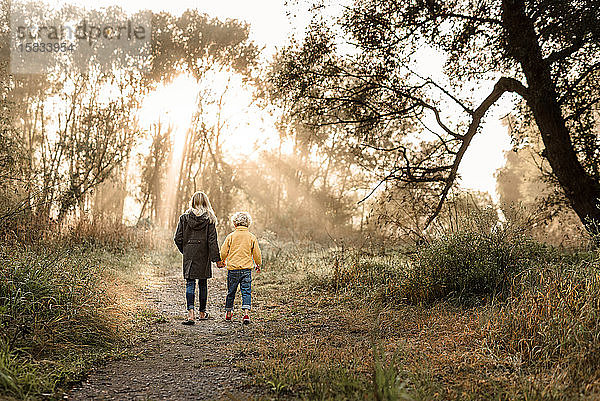 Geschwister halten an einem nebligen Morgen auf einem Waldweg Händchen