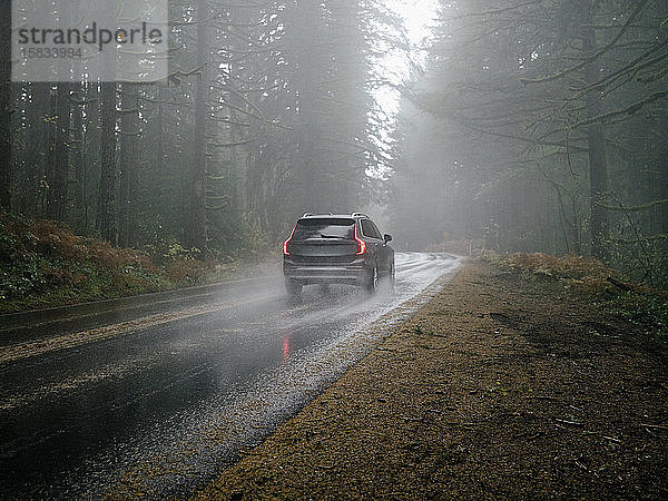 SUV-Auto fährt durch eine neblige und regnerische Waldstraße