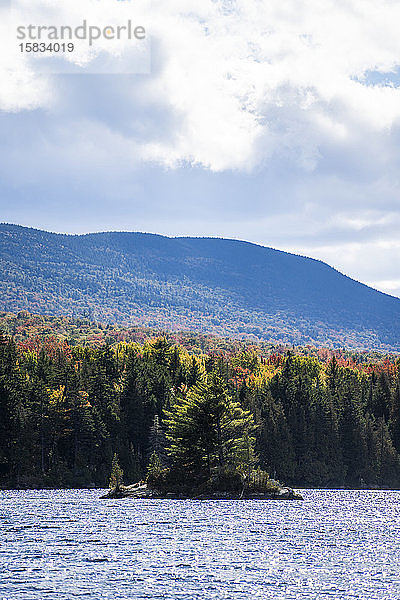 Insel auf Teich in Maine während des Herbstes