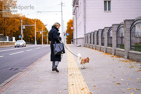 Eine Frau geht in der Stadt mit einem Kavalier King Charles Spaniel Hund spazieren.