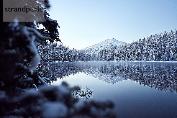 Schneebedeckter Berg spiegelt sich im See mit Bäumen im Vordergrund
