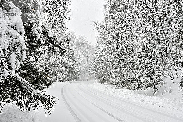 Schneebedeckte Straße im Winter in Michigan