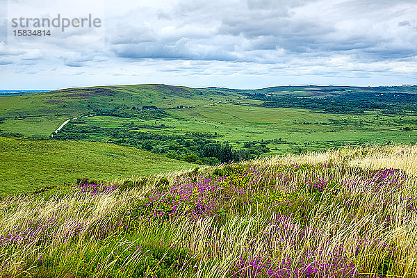 Blick vom Mont Saint-Michel de Brasparts in Monts d'Arree  Parc naturel regional d'Armorique  Bretagne  Frankreich