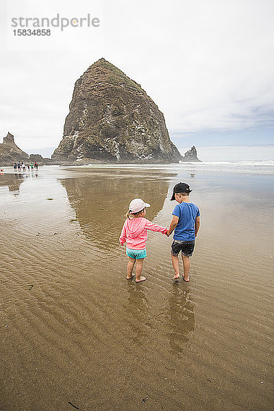 Bruder und Schwester halten am Strand Händchen.