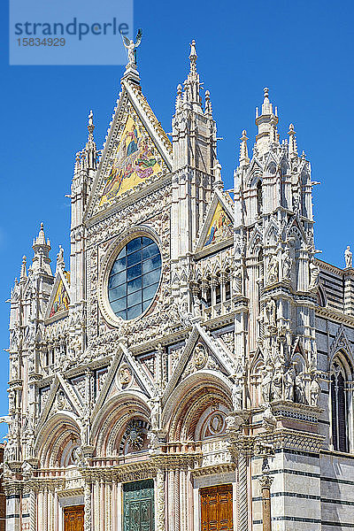 Fassade des Doms von Siena (Kathedrale von Siena)  Siena  Toskana  Italien