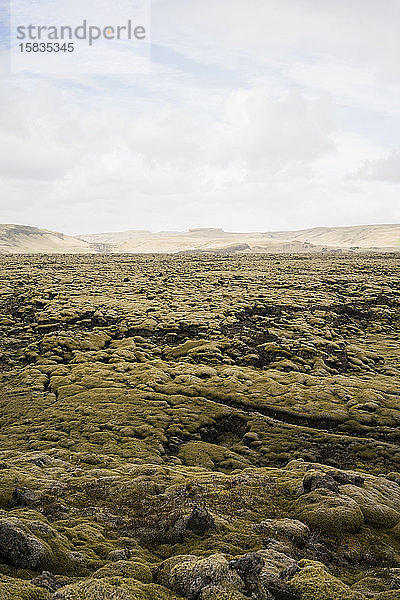 moosbedecktes Lavagestein in Eldrauhn  Island