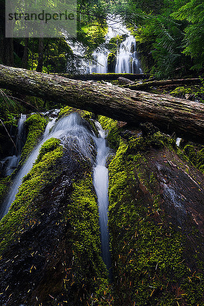 Landschaft des Upper-Proxy-Wasserfalls in Oregon