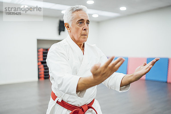 leitender Karate-Meister bei der Ausführung von Kampftechniken