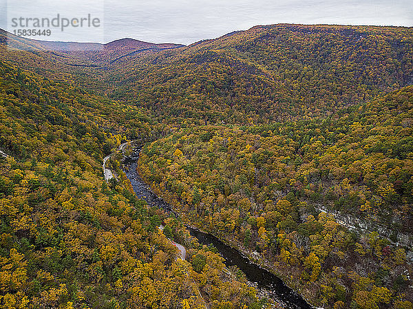 Drohnen-Luftaufnahme des Herbstlaubs in der Nähe des Appalachian Trail in VA.