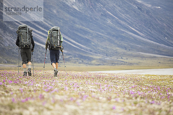 Rückansicht von zwei Rucksacktouristen  die durch eine Wildblumenwiese wandern.