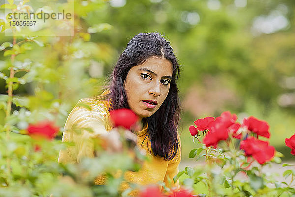 junge Frau beim Rosenschneiden