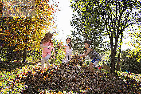 Drei kleine Kinder spielen im Herbstlaub