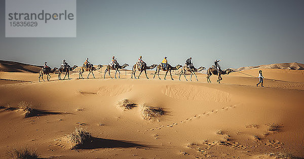 Menschen  die auf Dromedaren durch die Wüste reiten