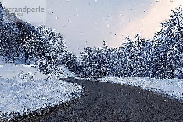 Straße im Winter. Landstraße durch Wald. Reisekonzept.