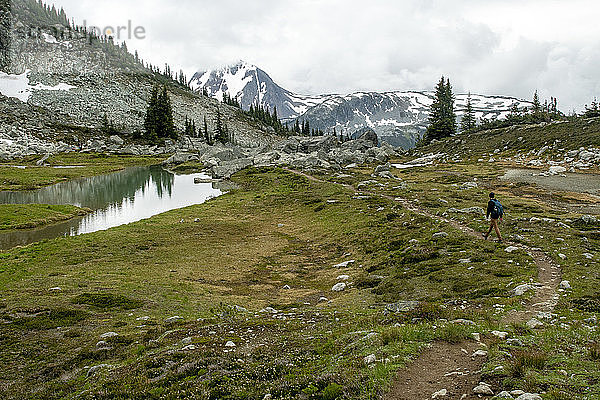 Ein Mann wandert an einem bewölkten Sommertag auf einem alpinen Pfad auf dem Blackcomb Mountain in BC.