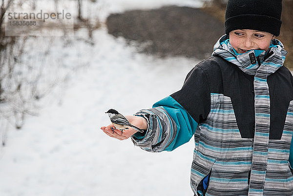 Junge Junge  der an einem verschneiten Wintertag einen Chickadee-Vogel mit der Hand füttert.