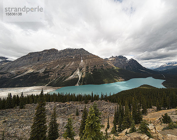 Panoramablick auf den türkisfarbenen Peyto Lake in den kanadischen Rocky Mountains.