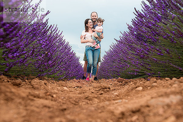 Glückliche Familie beim Spaziergang zwischen Lavendelfeldern im Sommer
