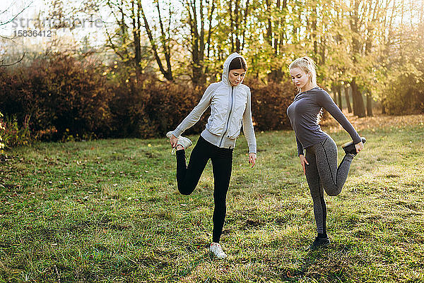 Morgendliche Fitness im Park. Zwei junge Mädchen machen Übungen.